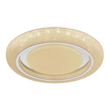 Globo 483111-40 - LED Stropní svítidlo RADA LED/40W/230V 2700/4200/6500K pr. 49 cm