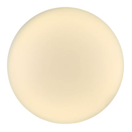 Globo - LED Stropní svítidlo LED/24W/230V