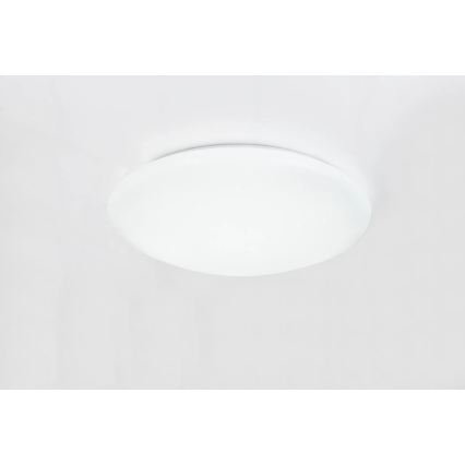 Globo - LED RGBW Stmívatelné stropní svítidlo LED/48W/230V + LED/10W 2700-6500K pr. 50 cm + dálkové ovládání