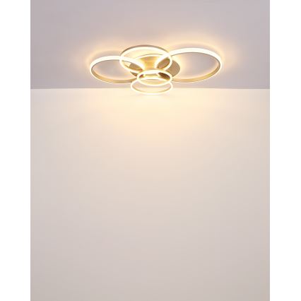 Globo - LED Stropní svítidlo LED/70W/230V 3000K 88x110 cm béžová