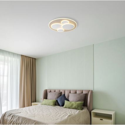 Globo - LED Stropní svítidlo LED/40W/230V 3000K pr. 49 cm