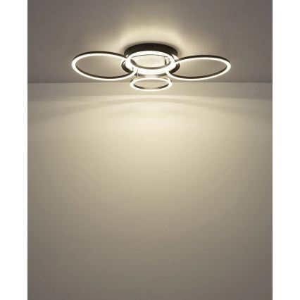 Globo - LED Stropní svítidlo LED/40W/230V 4000K 72x52 cm černá