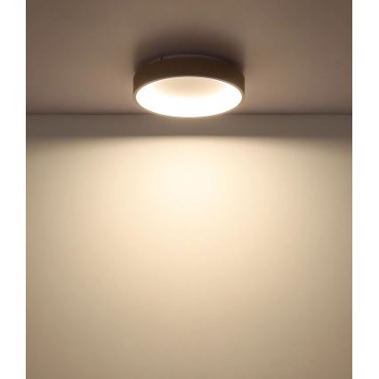 Globo - LED Stmívatelné stropní svítidlo LED/36W/230V 2700-6000K pr. 38 cm + dálkové ovládání