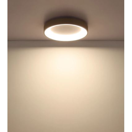 Globo - LED Stmívatelné stropní svítidlo LED/48W/230V 2700-6000K pr. 50 cm + dálkové ovládání