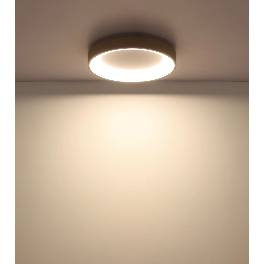 Globo - LED Stmívatelné stropní svítidlo LED/48W/230V 2700-6000K pr. 50 cm + dálkové ovládání