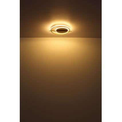 Globo - LED Stropní svítidlo LED/36W/230V