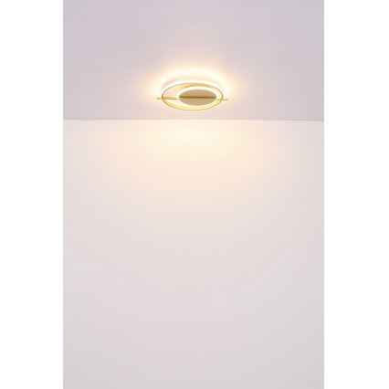 Globo - LED Stropní svítidlo LED/36W/230V