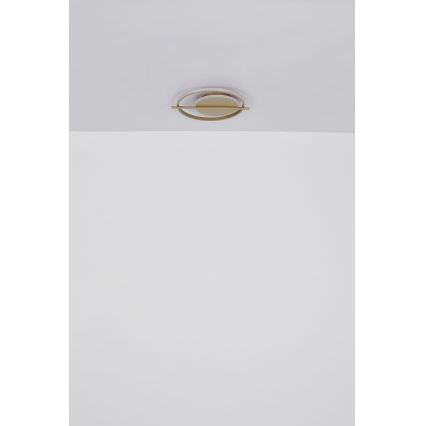 Globo - LED Stropní svítidlo LED/36W/230V