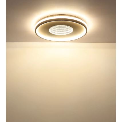 Globo - LED Stmívatelné stropní svítidlo LED/40W/230V 2700-6500K pr. 50,5 cm + dálkové ovládání
