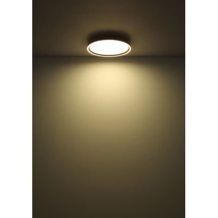 Globo - LED Stmívatelné stropní svítidlo LED/48W/230V pr. 50 cm 2700-6000K + dálkové ovládání