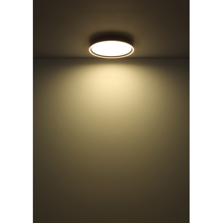Globo - LED Stmívatelné stropní svítidlo LED/48W/230V pr. 50 cm 2700-6000K + dálkové ovládání