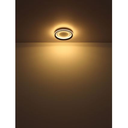 Globo - LED Stmívatelné stropní svítidlo LED/24W/230V 2700-6000K + dálkové ovládání