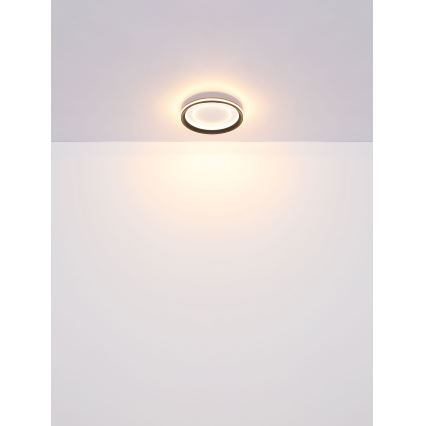 Globo - LED Stmívatelné stropní svítidlo LED/24W/230V 2700-6000K + dálkové ovládání