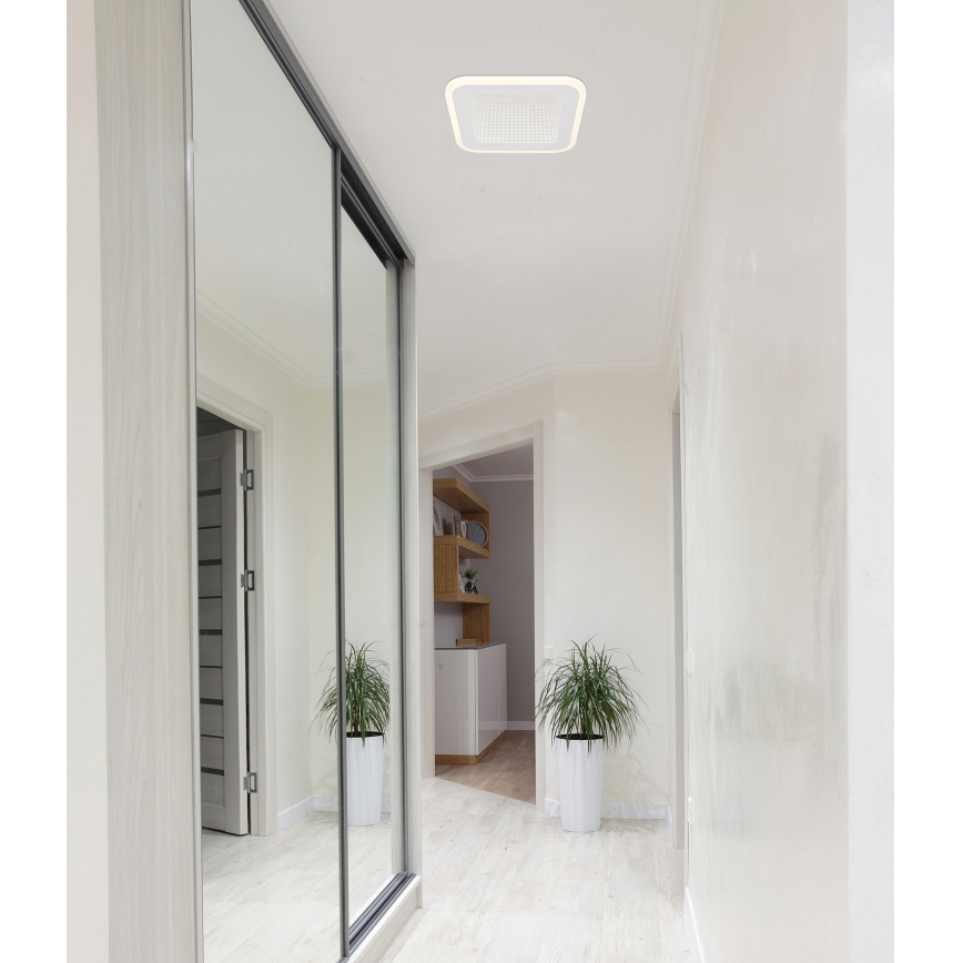 Globo - LED Stropní svítidlo LED/12W/230V 4000K