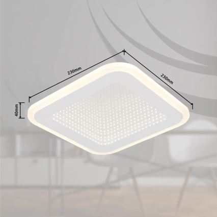 Globo - LED Stropní svítidlo LED/12W/230V 4000K