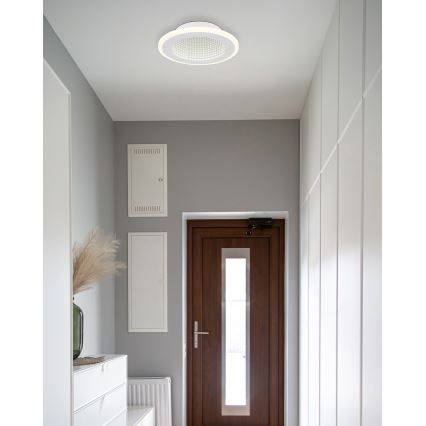 Globo - LED Stropní svítidlo LED/12W/230V 4000K