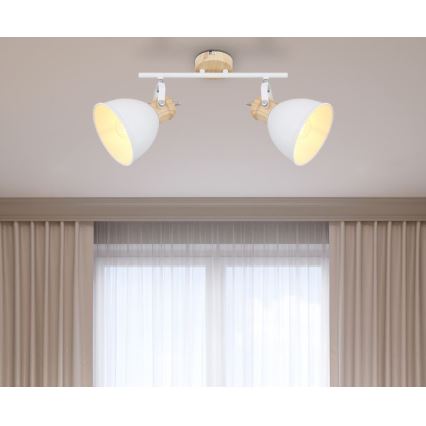 Globo - Bodové svítidlo 2xE27/40W/230V