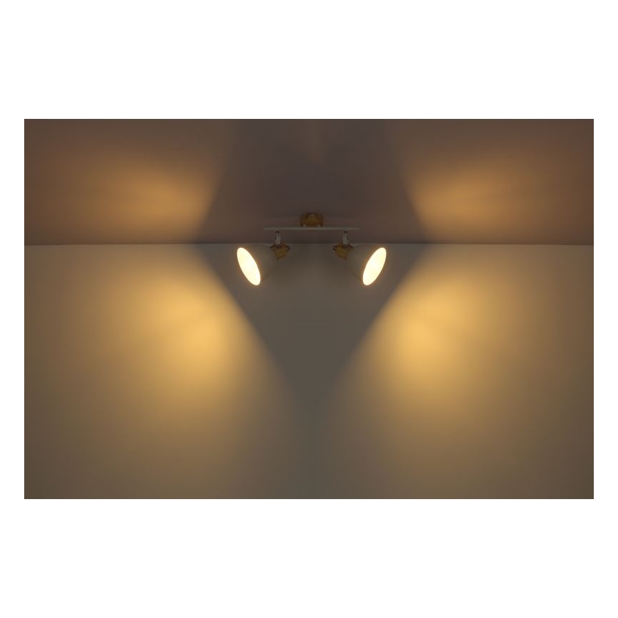Globo - Bodové svítidlo 2xE27/40W/230V