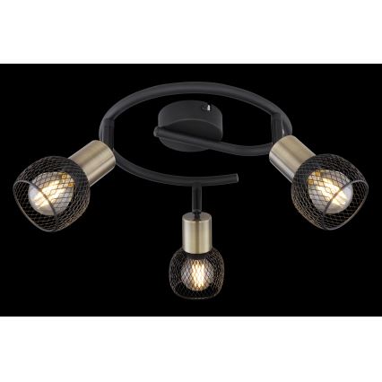 Globo - Bodové svítidlo 3xE14/40W/230V
