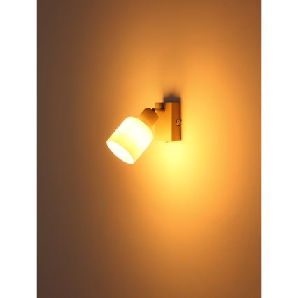 Globo - Nástěnné bodové svítidlo 1xE14/25W/230V