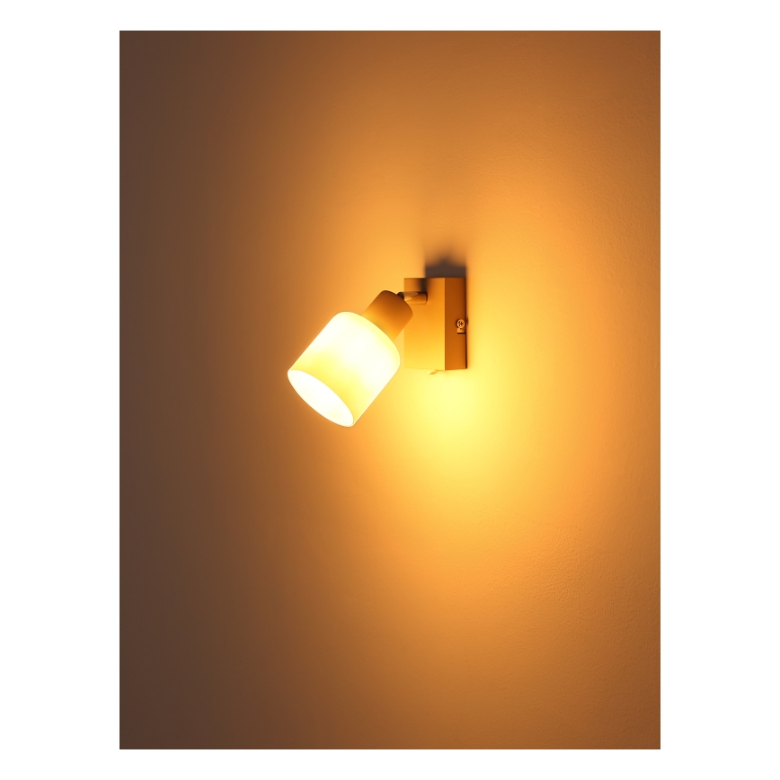 Globo - Nástěnné bodové svítidlo 1xE14/25W/230V