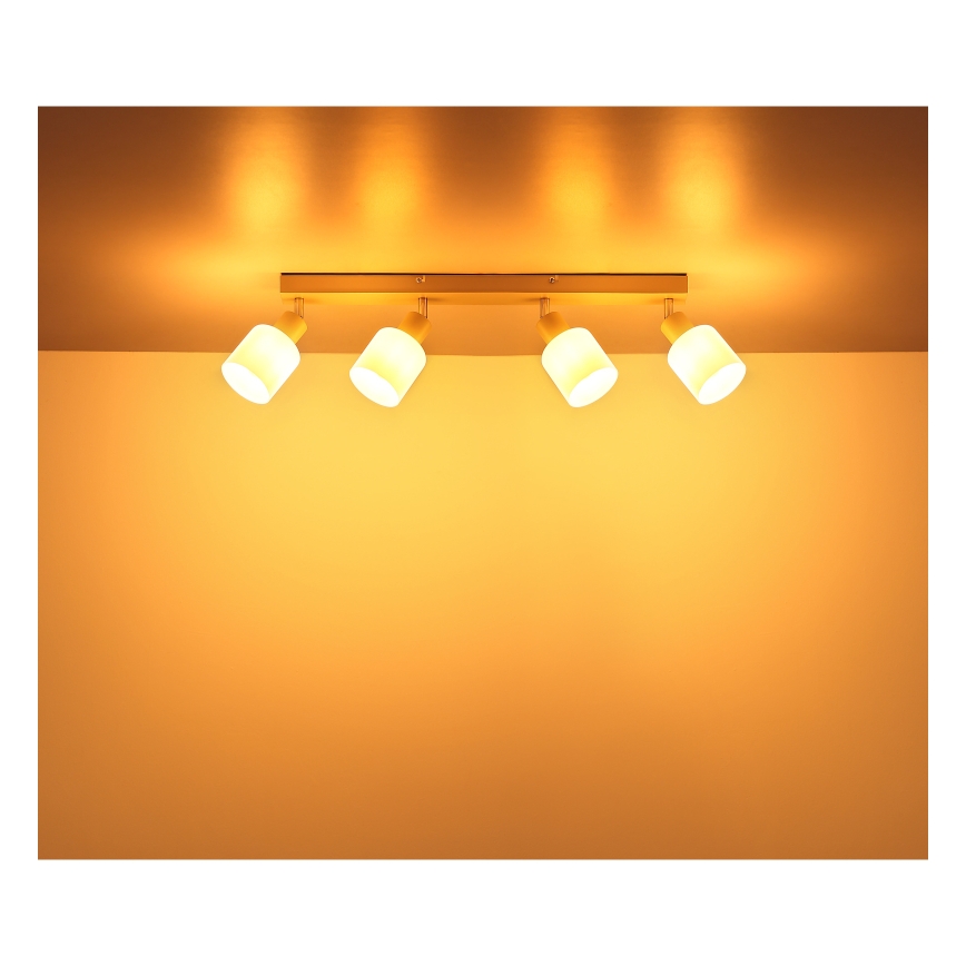 Globo - Bodové svítidlo 4xE14/25W/230V