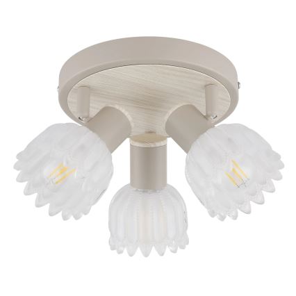 Globo - Bodové svítidlo 3xE14/40W/230V