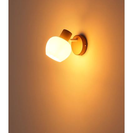 Globo - Nástěnné bodové svítidlo 1xE27/40W/230V
