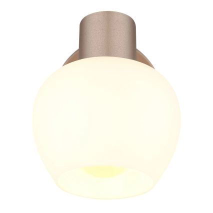 Globo - Nástěnné bodové svítidlo 1xE27/40W/230V