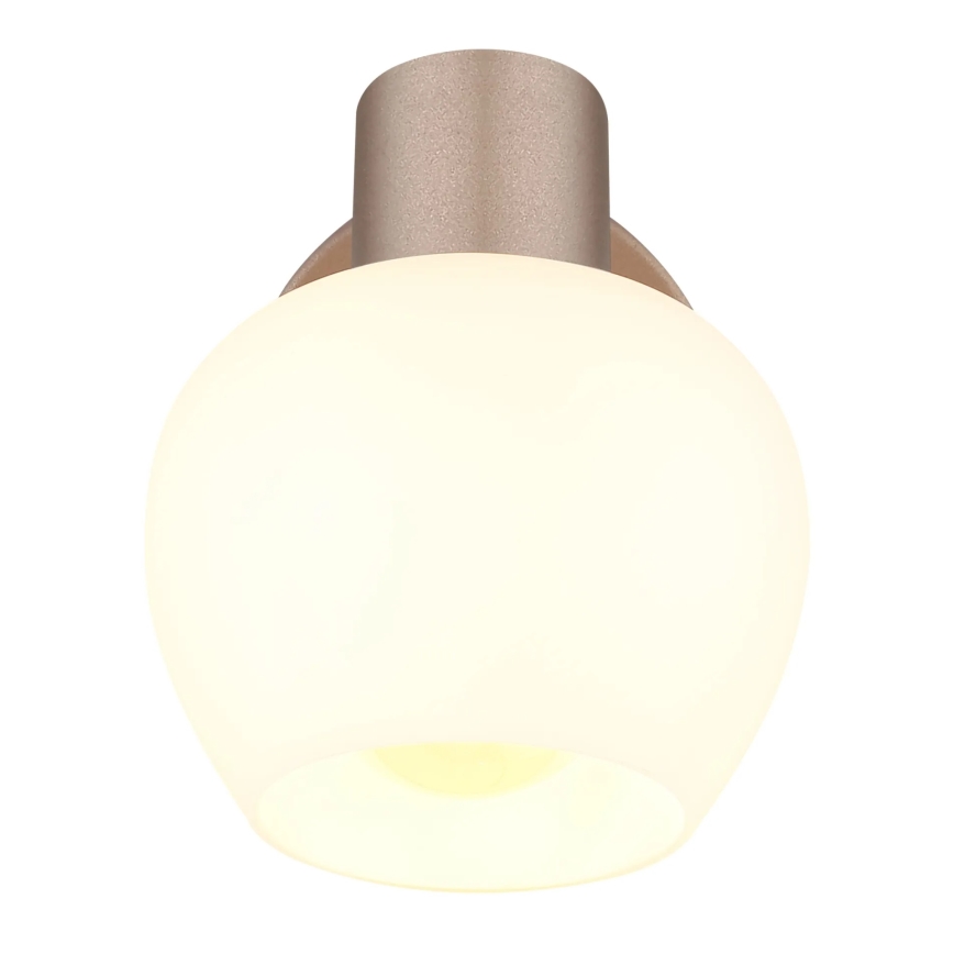 Globo - Nástěnné bodové svítidlo 1xE27/40W/230V
