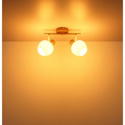 Globo - Bodové svítidlo 2xE27/40W/230V