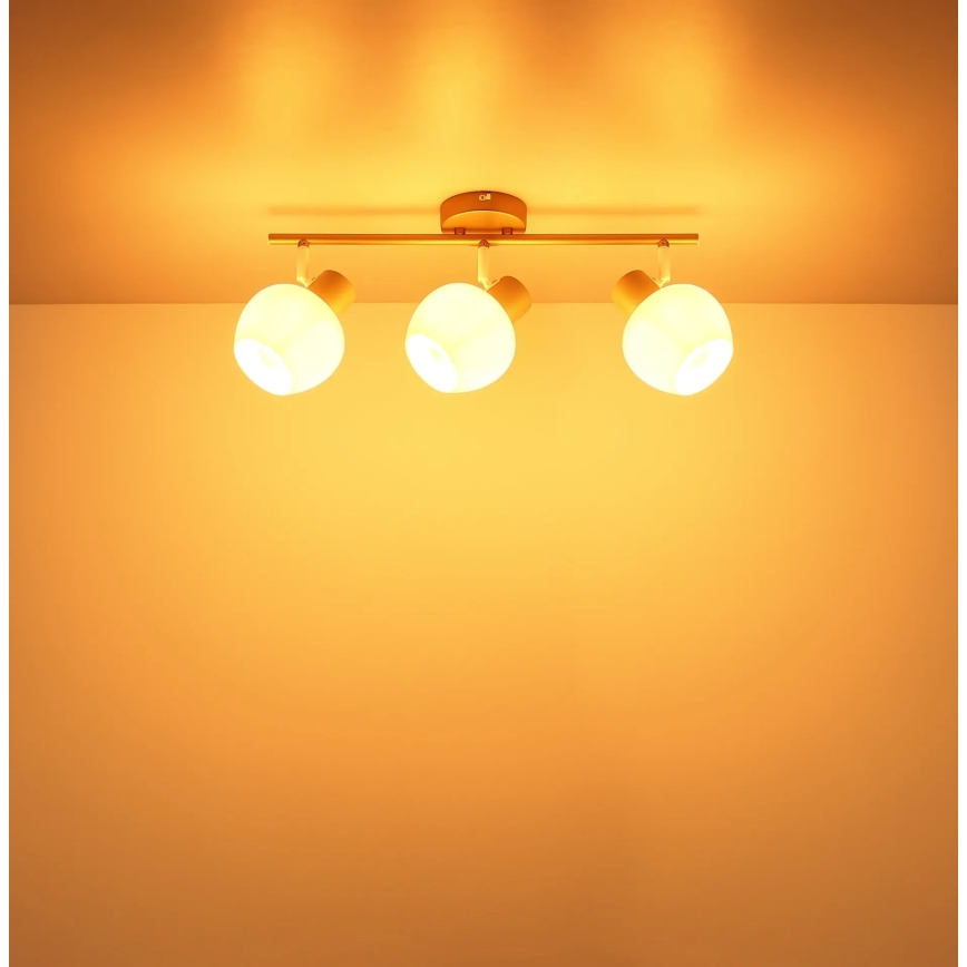 Globo - Bodové svítidlo 3xE27/40W/230V