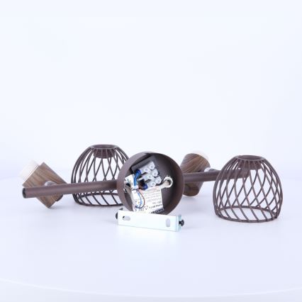 Globo - Bodové svítidlo 2xE14/40W/230V