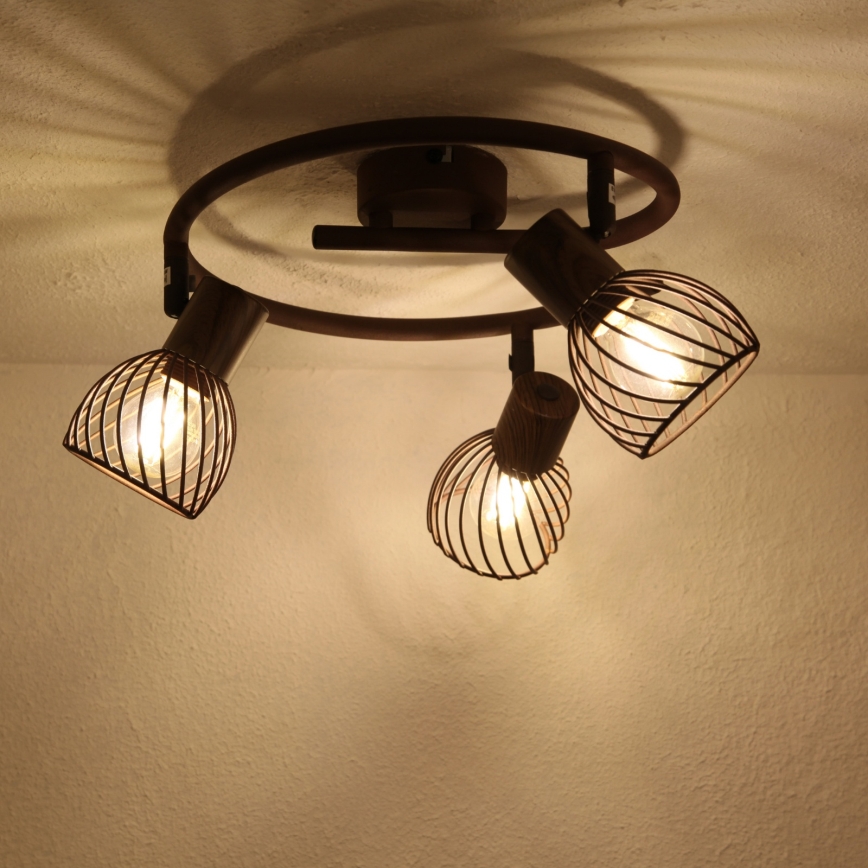 Globo - Bodové svítidlo 3xE14/40W/230V