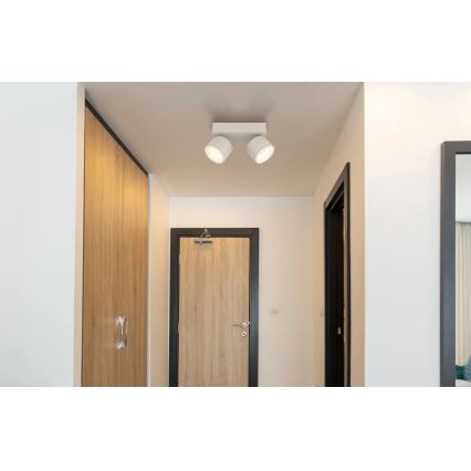 Globo - LED Bodové svítidlo 2xLED/6W/230V