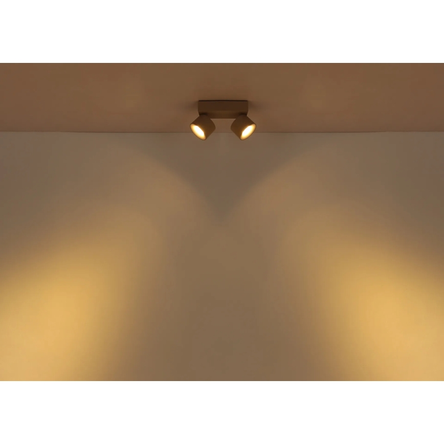 Globo - LED Bodové svítidlo 2xLED/6W/230V