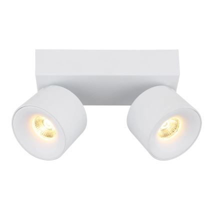 Globo - LED Bodové svítidlo 2xLED/6W/230V bílá