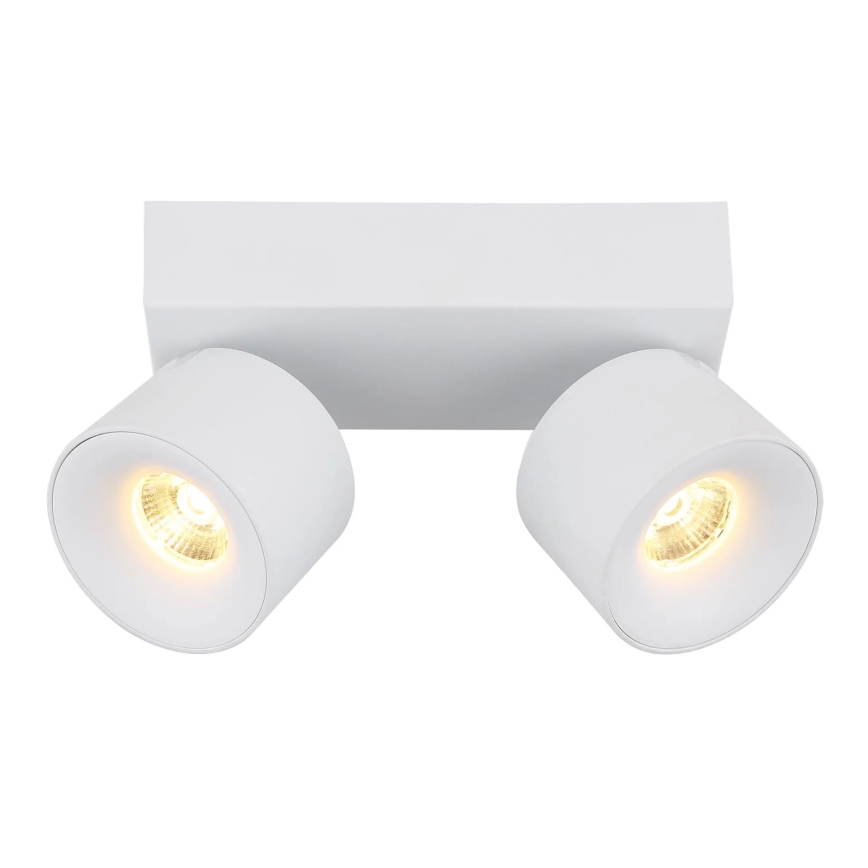Globo - LED Bodové svítidlo 2xLED/6W/230V bílá