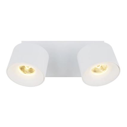 Globo - LED Bodové svítidlo 2xLED/6W/230V bílá
