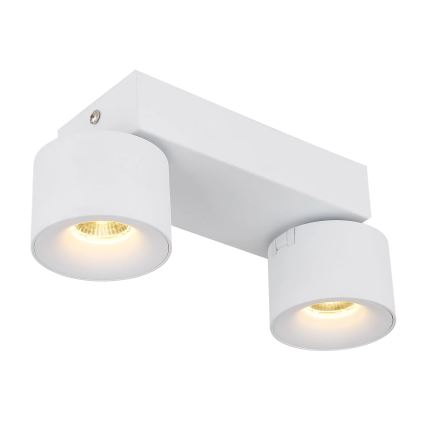 Globo - LED Bodové svítidlo 2xLED/6W/230V bílá
