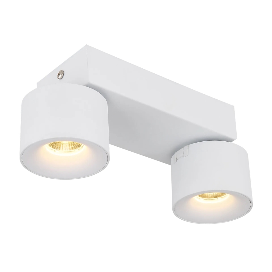 Globo - LED Bodové svítidlo 2xLED/6W/230V bílá