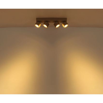 Globo - LED Bodové svítidlo 4xLED/6W/230V