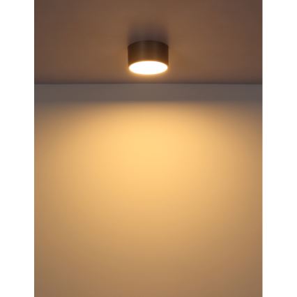 Globo - LED Stropní svítidlo LED/12W/230V pr. 15 cm 3000K mosaz