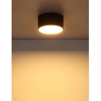 Globo - LED Stropní svítidlo LED/12W/230V 3000K pr. 15 cm černá