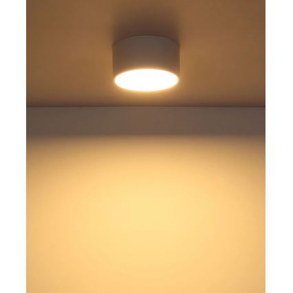 Globo - LED Stropní svítidlo LED/12W/230V 3000K pr. 15 cm bílá