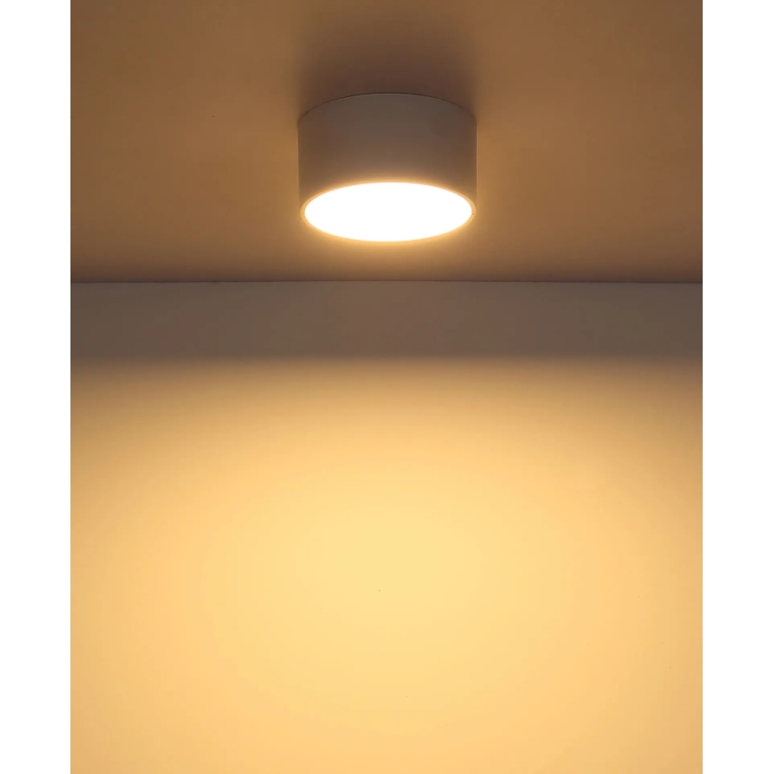 Globo - LED Stropní svítidlo LED/12W/230V 3000K pr. 15 cm bílá