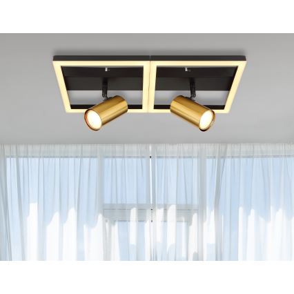 Globo - LED Stropní svítidlo 2xGU10/5W/230V + LED/22W/230V