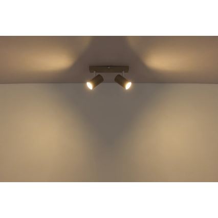 Globo - Bodové svítidlo 2xGU10/35W/230V