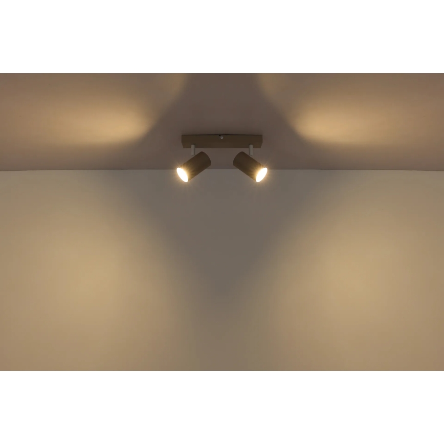 Globo - Bodové svítidlo 2xGU10/35W/230V