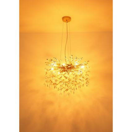 Globo - Lustr na lanku 8xE14/40W/230V zlatá